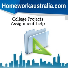 College Projects Assignment Help