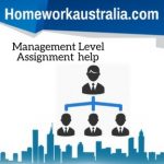 Management Level
