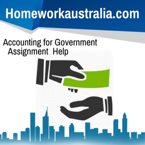 accounting government help assignment
