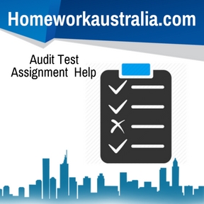 Audit Test Assignment Help