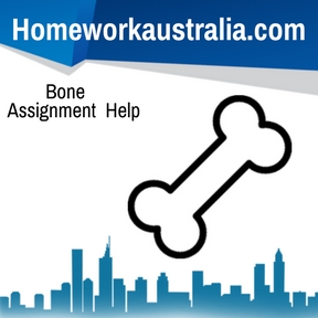 Bone Assignment Help