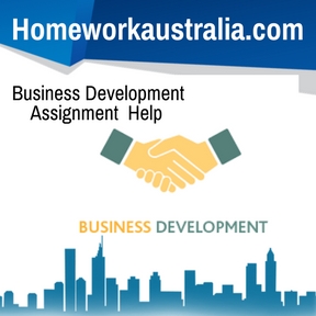 Business Development Assignment Help