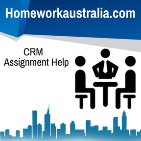 CRM Assignment Help