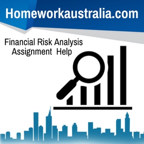 Financial Risk Analysis Assignment Help