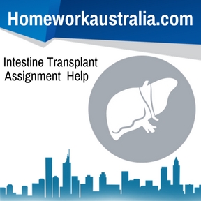 Intestine Transplant Assignment Help