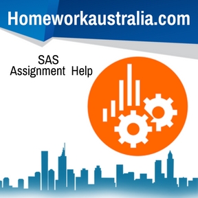 SAS Assignment Help