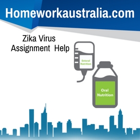 Zika Virus Assignment Help