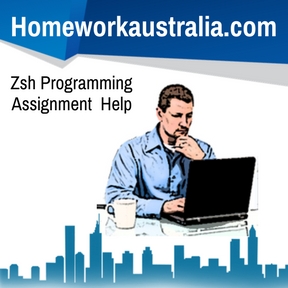 Zsh Programming Assignment Help