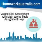 Valued Risk Assessment with Math Works Tools